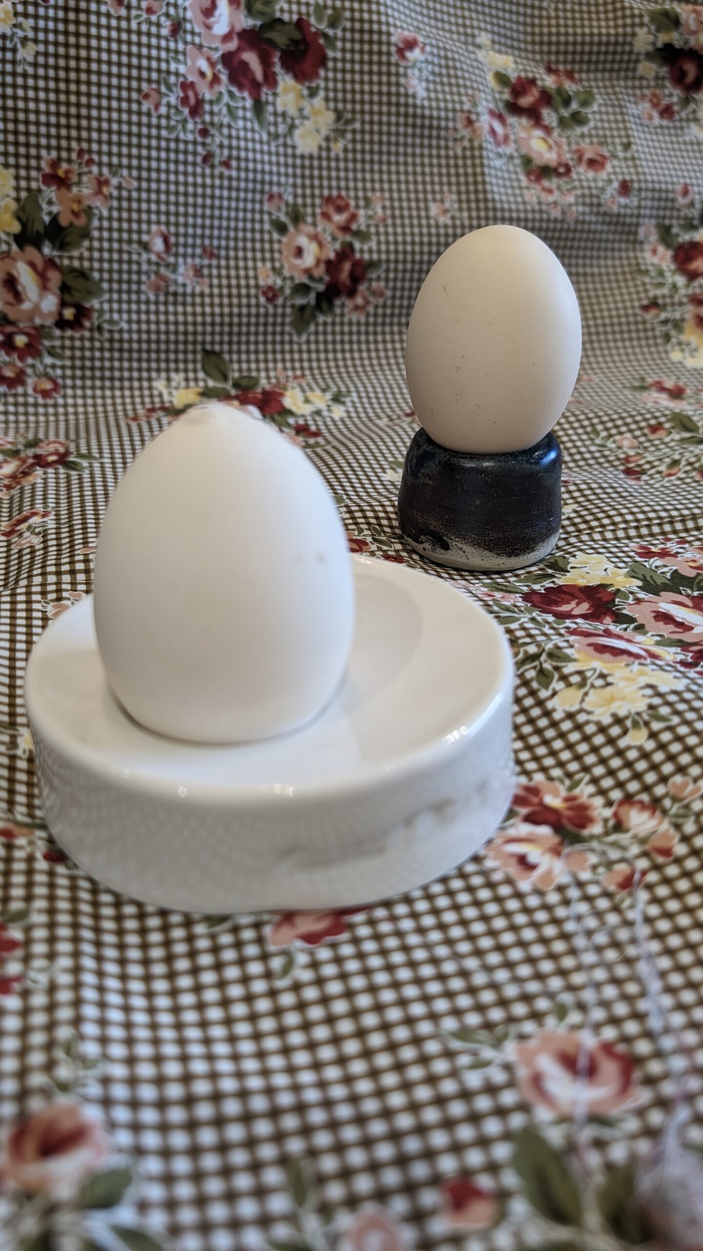 PXL_20240404_080127664