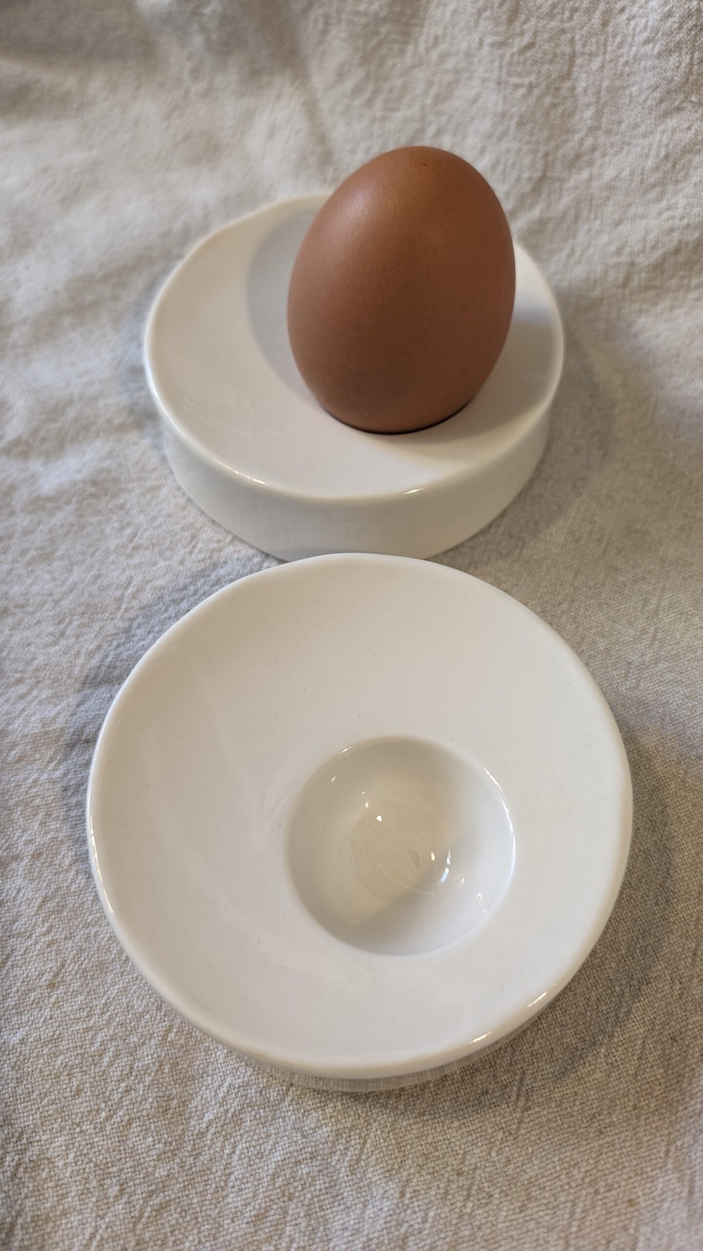 PXL_20240409_172558676.MP