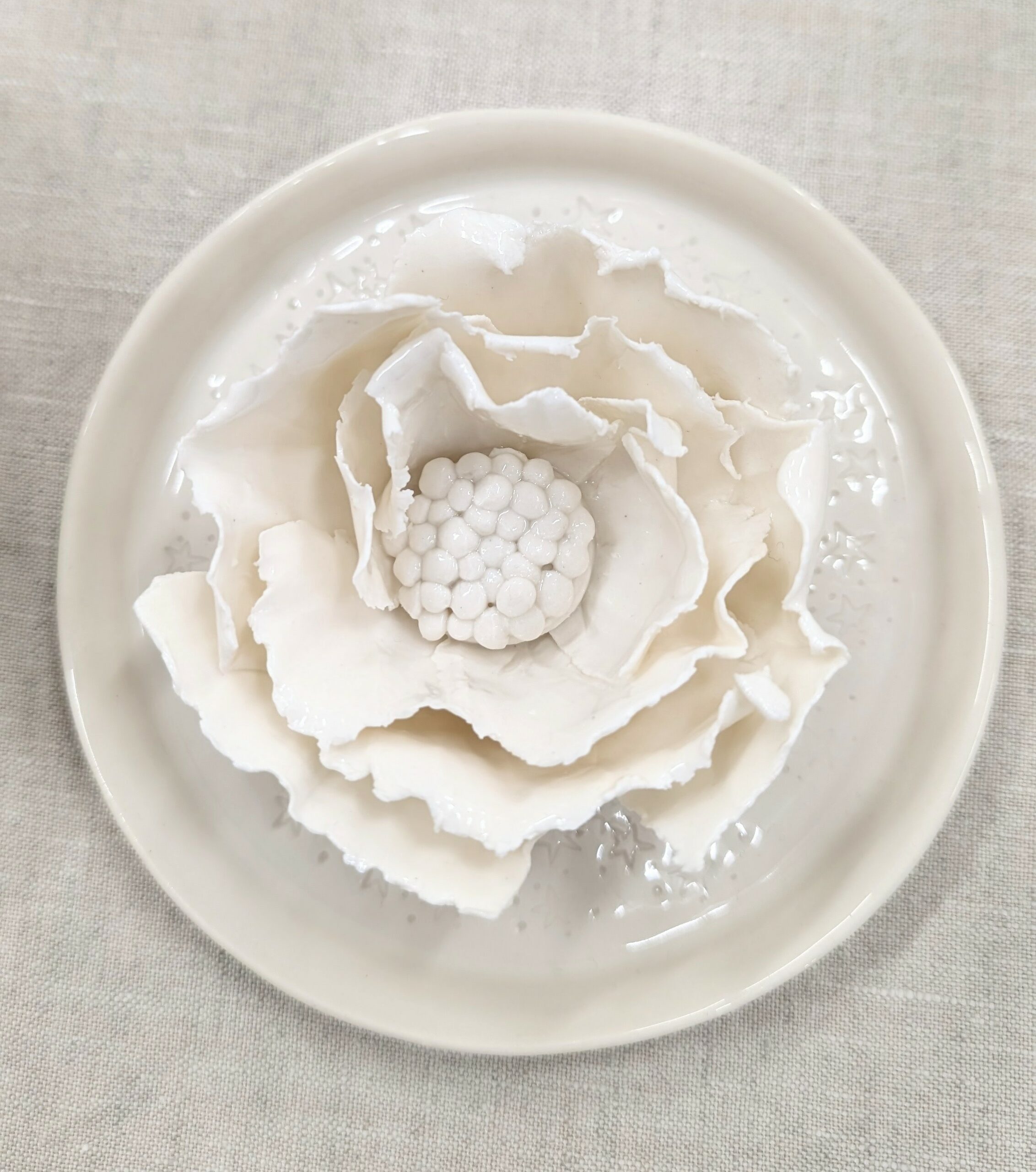 PXL_20241212_150106012.MP~2