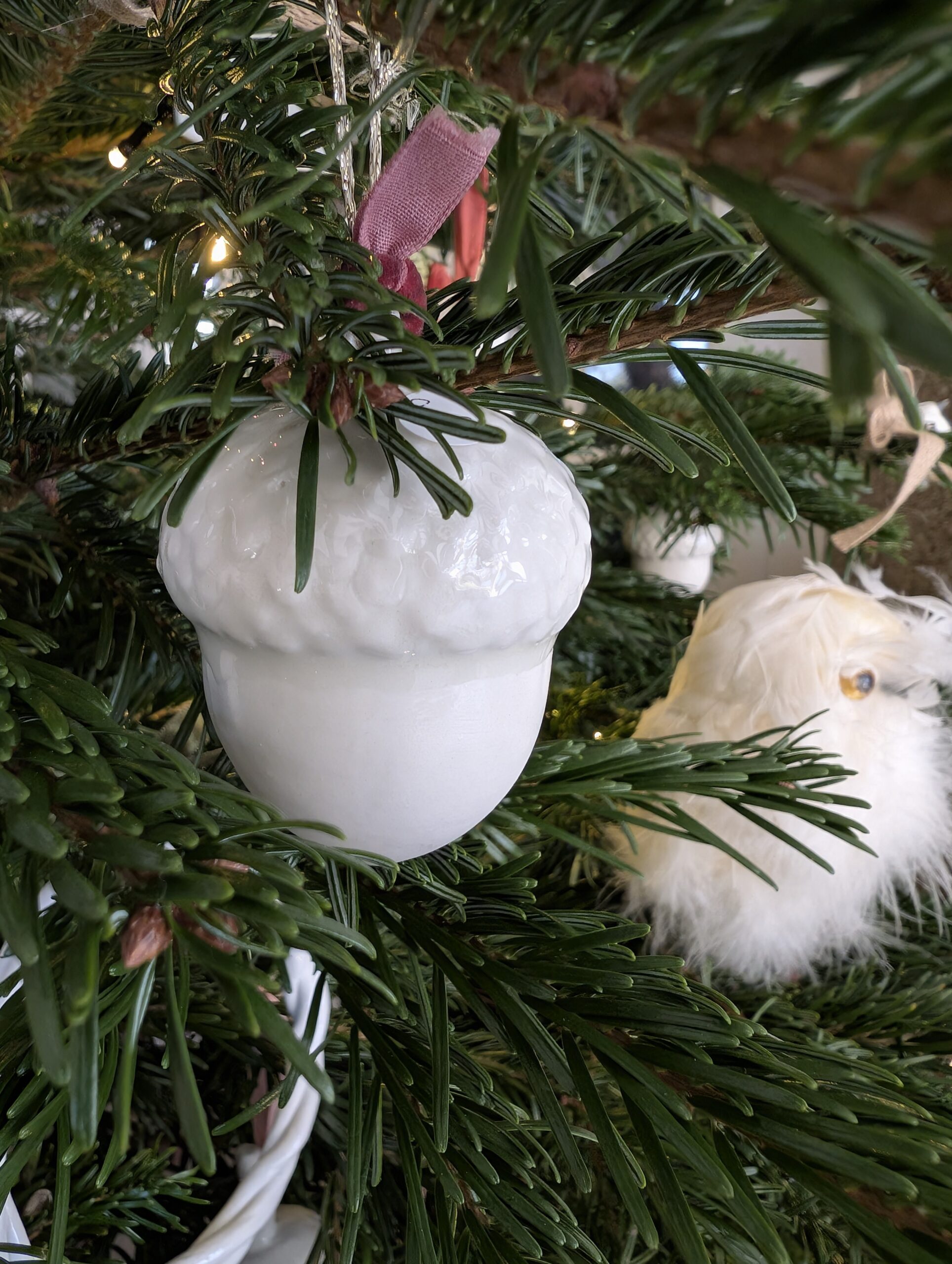 PXL_20251213_084401488